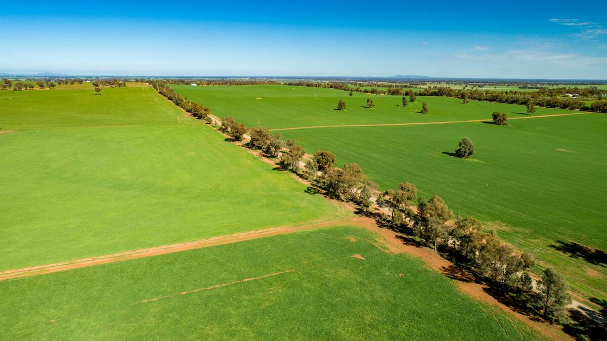 IDEAL FARMING COUNTRY: The properties are situated on Boundary Road, 17km south west of Coolamon and 50km from Wagga Wagga.