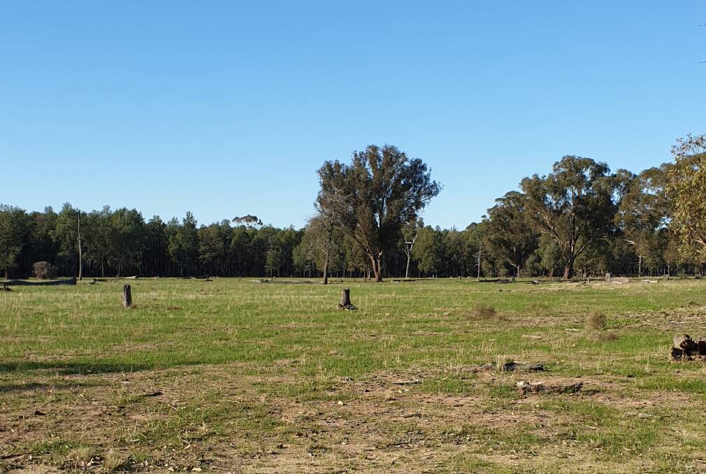 FARMING LIFESTYLE: Ideally positioned less than half an hour from Wagga, this 60.7-hectare property could be your "getaway plan" after a long week at the office.