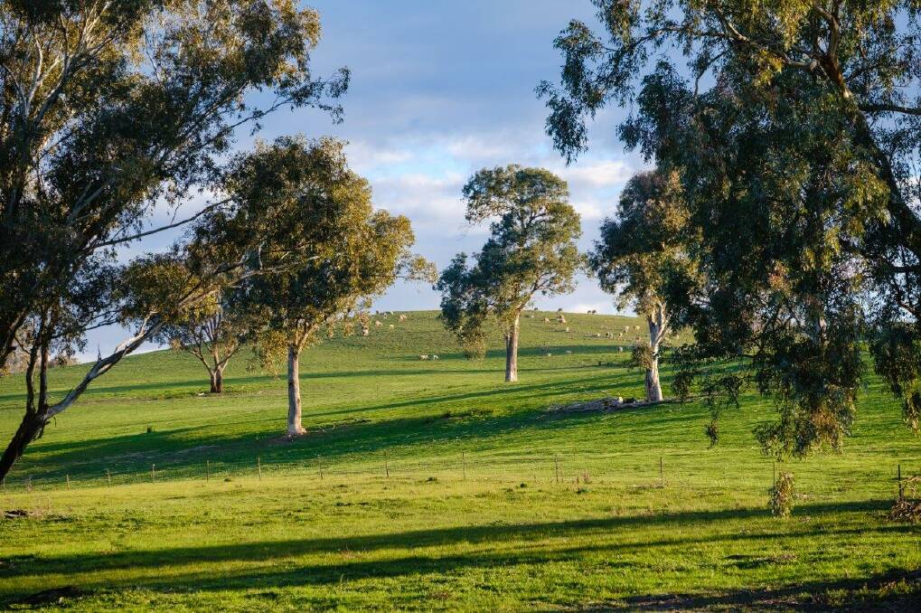 Being only 7km east of the Hume Freeway, "Old Murrumbung" offers easy access to the rural service centres of both Albury -Wodonga and Wagga Wagga.
