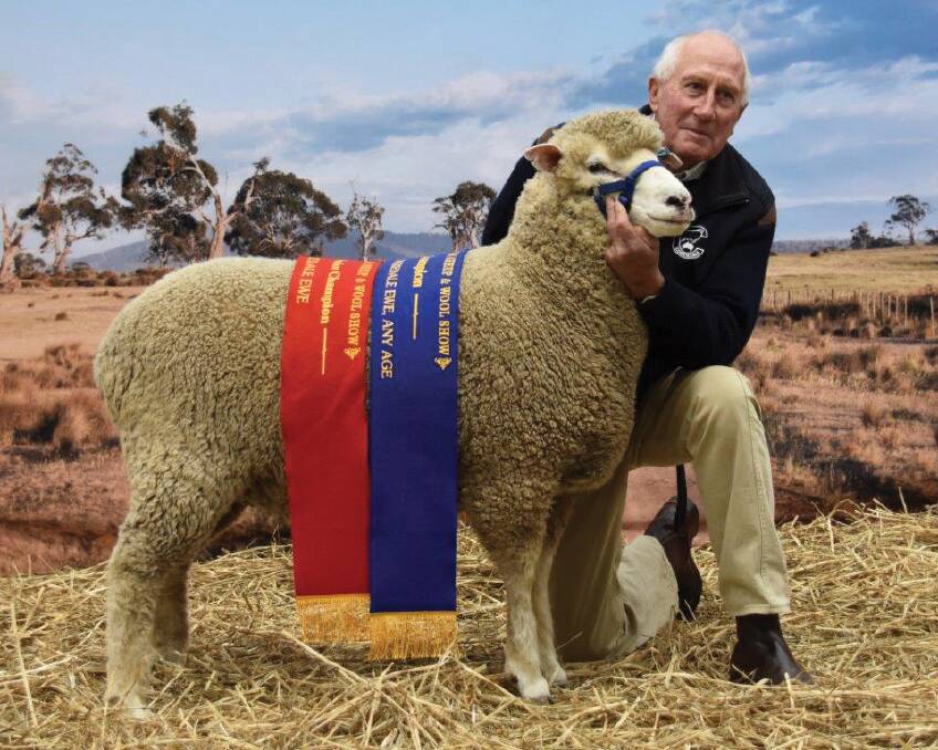 TONY Manchester with the Reserve Grand Champion Ewe – Bendigo 2017 and Champion March Shorn Ewe – Bendigo 2017.