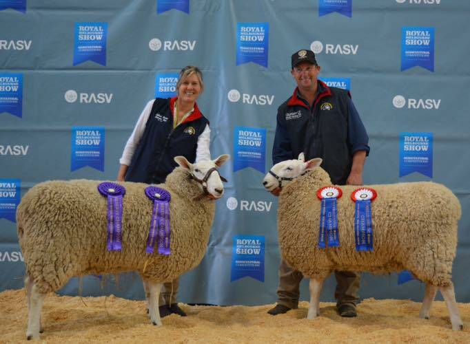 Bauer Border Leicester Stud (right) had the Champion Ewe at the 2019 Royal Melbourne Show, while Talkook Border Leicester Stud had Reserve Champion Ewe.