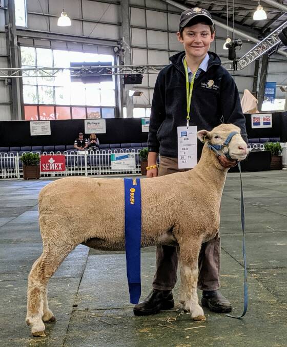 Valley Vista won first place in all the ewe and ram lamb classes at the Melbourne Royal Show, as well as most successful exhibitor.
