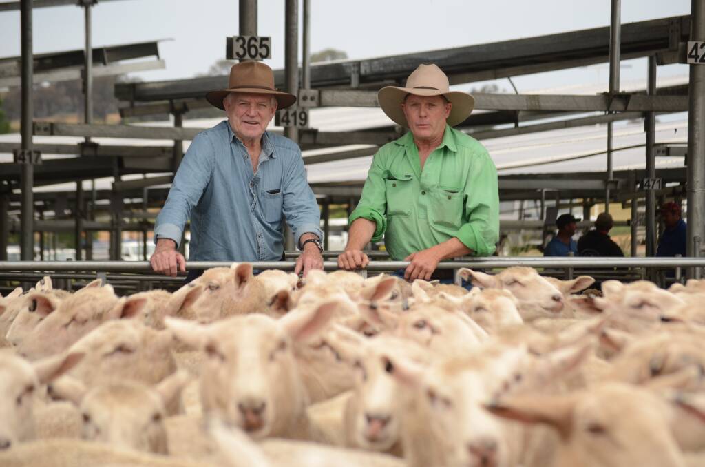 Bret Medway, right, pictured with Peter Solomons, sold 18-month-old first-cross ewes for $282 a head last Novermber, topping the sale. Photo by Stephen Burns