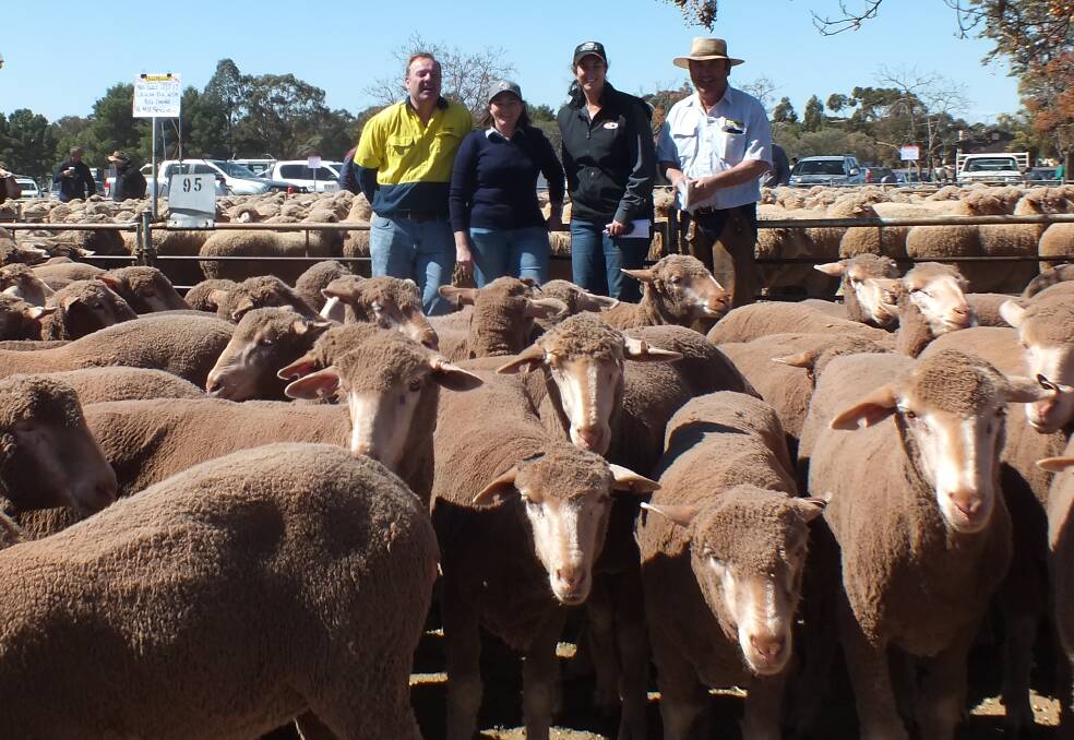 Best presented pen were these 362 Merino ewes of Maree Stockman, Forest Lodge, Gubbata, June/July '17, Lachlan blood, August shorn, making $210 with Brett Miencke, Linda Thomas, Nicole Logg, Paul Quade of Quade Livestock.