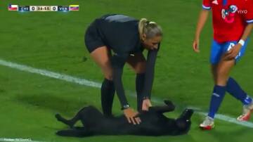 PAWS THE GAME: Chilean goalkeeper, Christine Elder, called a stop to play when the pup ran onto the field for a tummy rub. 
