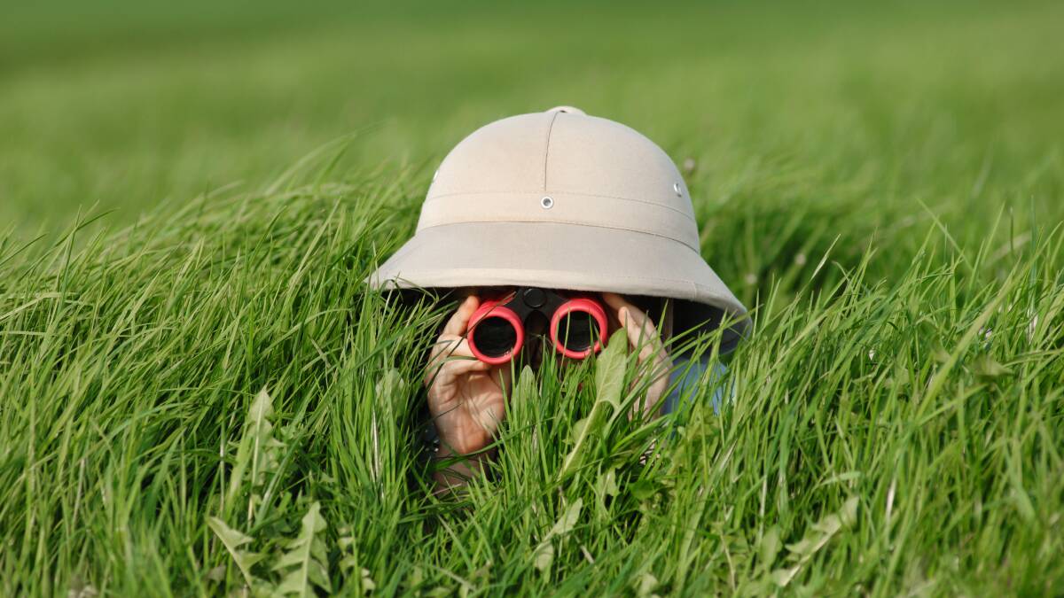 Want to risk being spotted? Photo: Shutterstock