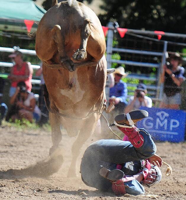 COWERING: In the novice bull ride, Jack Martin gets hurled off, and narrowly escapes being trampled at Gundagai Rodeo on Saturday. Picture: Kieren L. Tilly