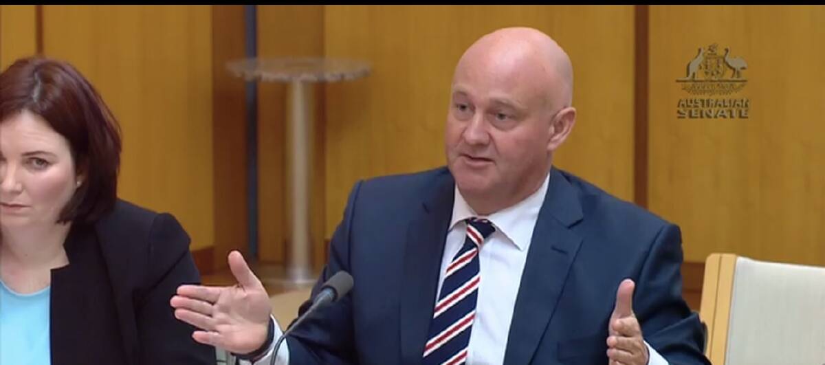 AWI CEO Stuart McCullough at the Senate estimates. The peak industry body was under heavy scrutiny after Mr McCullough revealed five recommendations would be dependent on a shareholders vote at an extraordinary general meeting in March 2019.