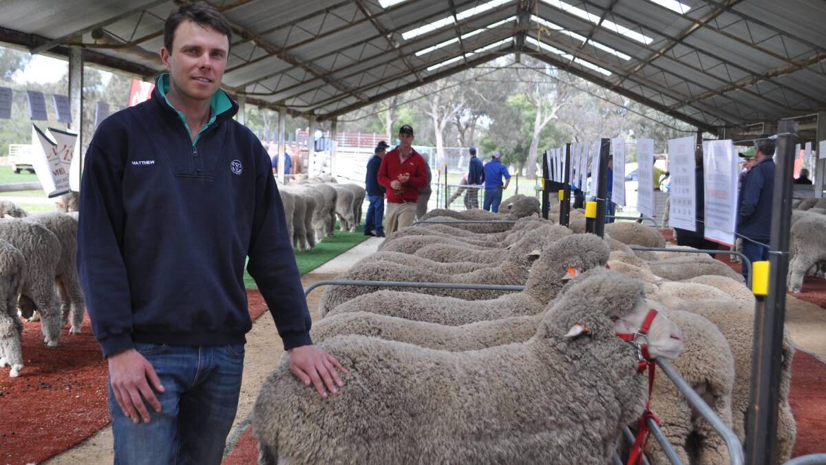 It was the first Eastern Riverina Poll Merino sale for stud, Old Cobran Poll Merino, Mullengandra. Pictured, Matt Martin, stud principal with some of his draft. 