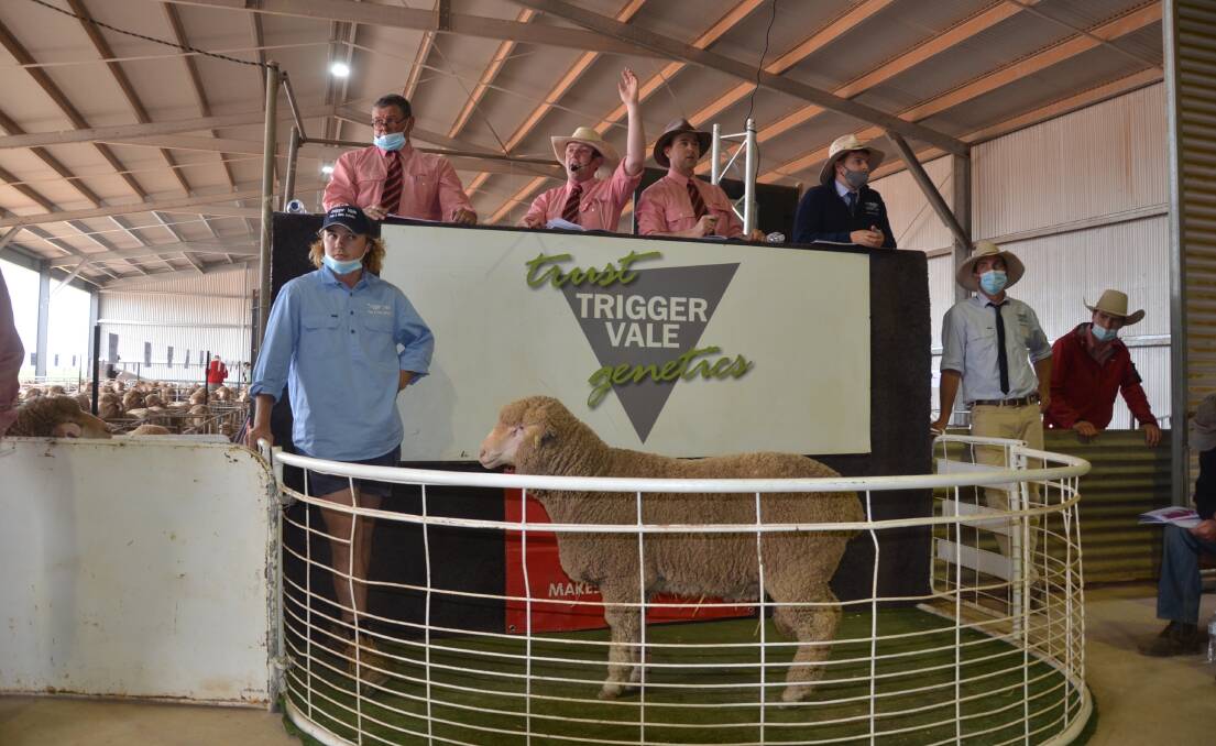 The first ram offered for the day sells for $14,000 to Kamora and Netley Park Poll Merinos, Karoonda, SA, setting the scene for what was to come. 