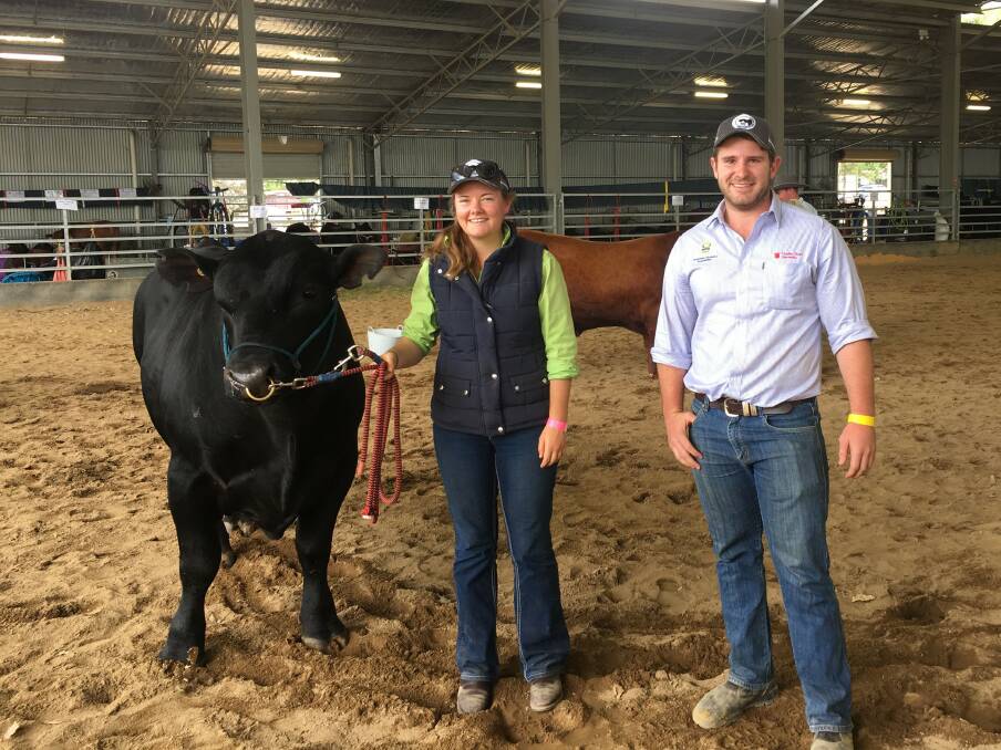 FUTURE: CSU students Rebecca Dean and Michael van Diggelen put their knowledge into practise at the recent Angus Youth Roundup as part of a Graham Centre Angus Australia internship program.