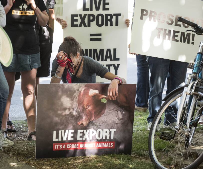 Ending live exports would boost economy