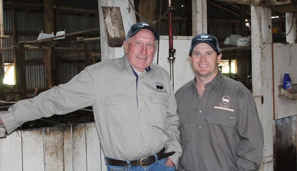 Tony Manchester and his son John have managed to breed some of the highest eating quality lambs in Australia. On September 14, they will be offering up some of their top quality genetics at an on property Poll Dorset sale at Roseville.