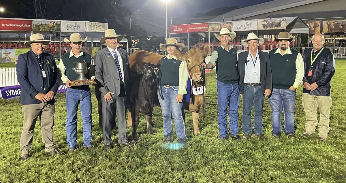 The winning connections, owners, breeder Peter Kylstra, judge, Peter Falls, and stewards of the Limousin section at Sydney Royal with the Best Exhibit, Progress Queen of Hearts and her calf, Progress Limousins, Yanco.