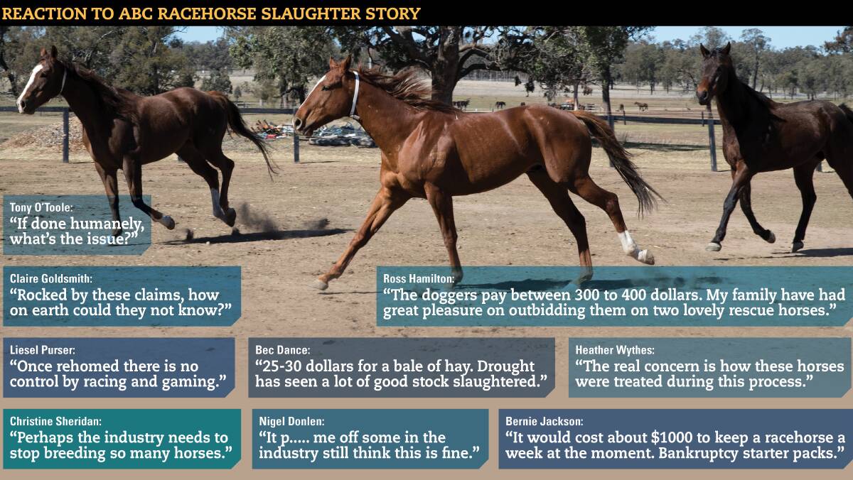 Some of the comments on The Land's Facebook site from readers reacting to the ABC horse slaughter report. The horses above were successfully rehomed by RacingNSW.