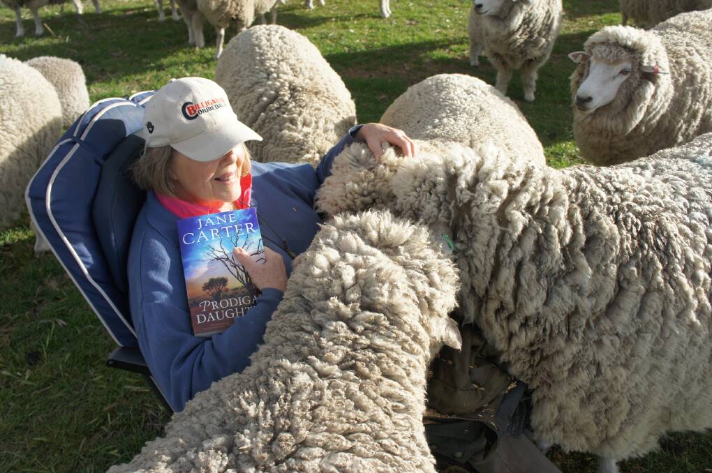 WOOLLY AUDIENCE: Narrandera's Jane Carter combines writing with running a sheep farm with her husband.