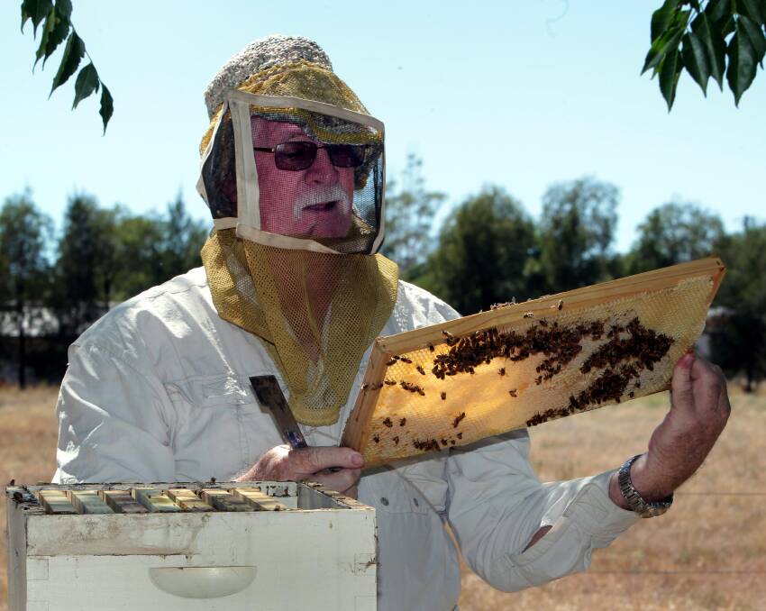 President of the Wagga Amateur Beekeepers Club Michael James.