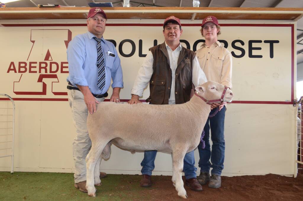 Auctioneer, Michael Glassor, GTSM, Patrice Vale, Victoria, and Simon and Jono Male, Aberdeen stud, with the $22,000 top-priced ram.
