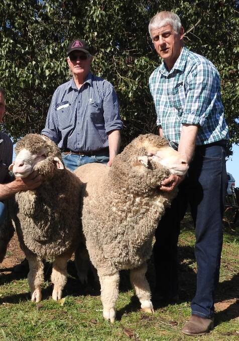 Peter Lieschke (right) with rams purchased by Max Web (left) from Walbundrie.