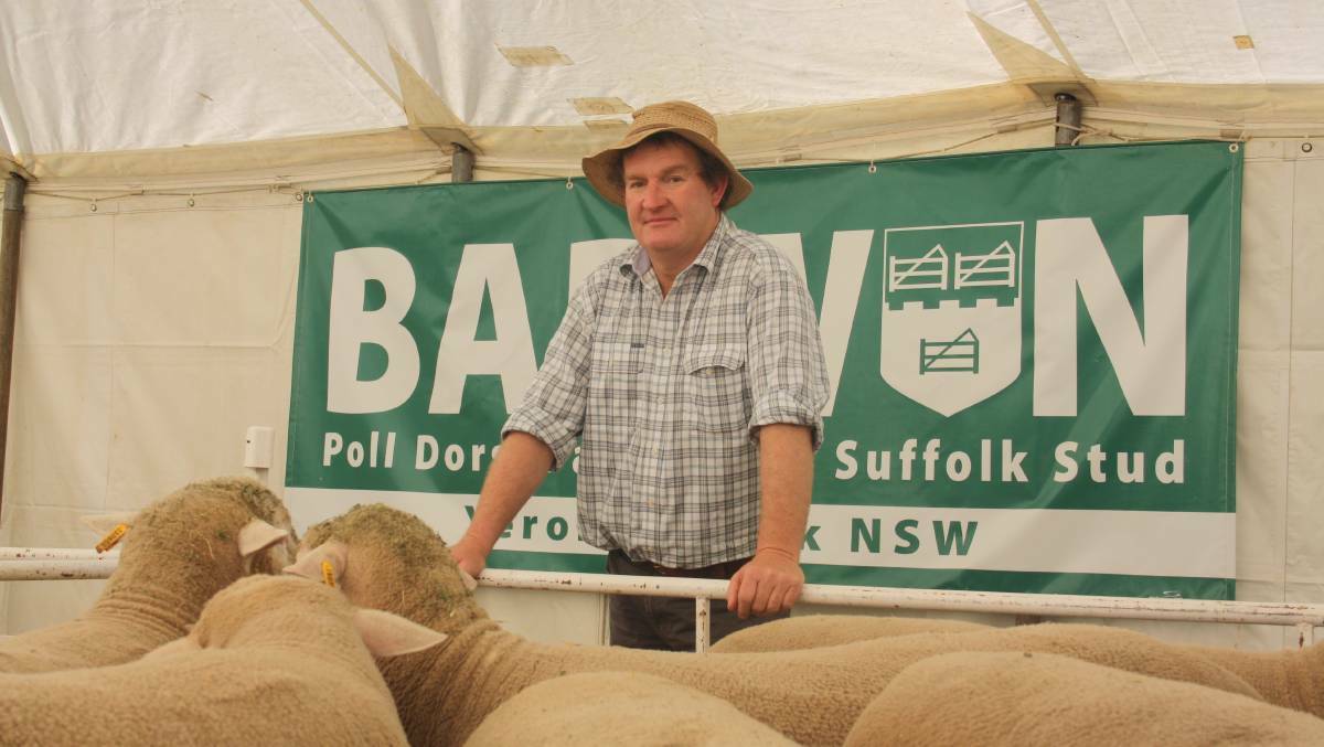 SHOWTIME: Barwon Stud principal Mark Yates will judge the poll dorsets at the weekend's Australian Sheep & Wool show in Bendigo.