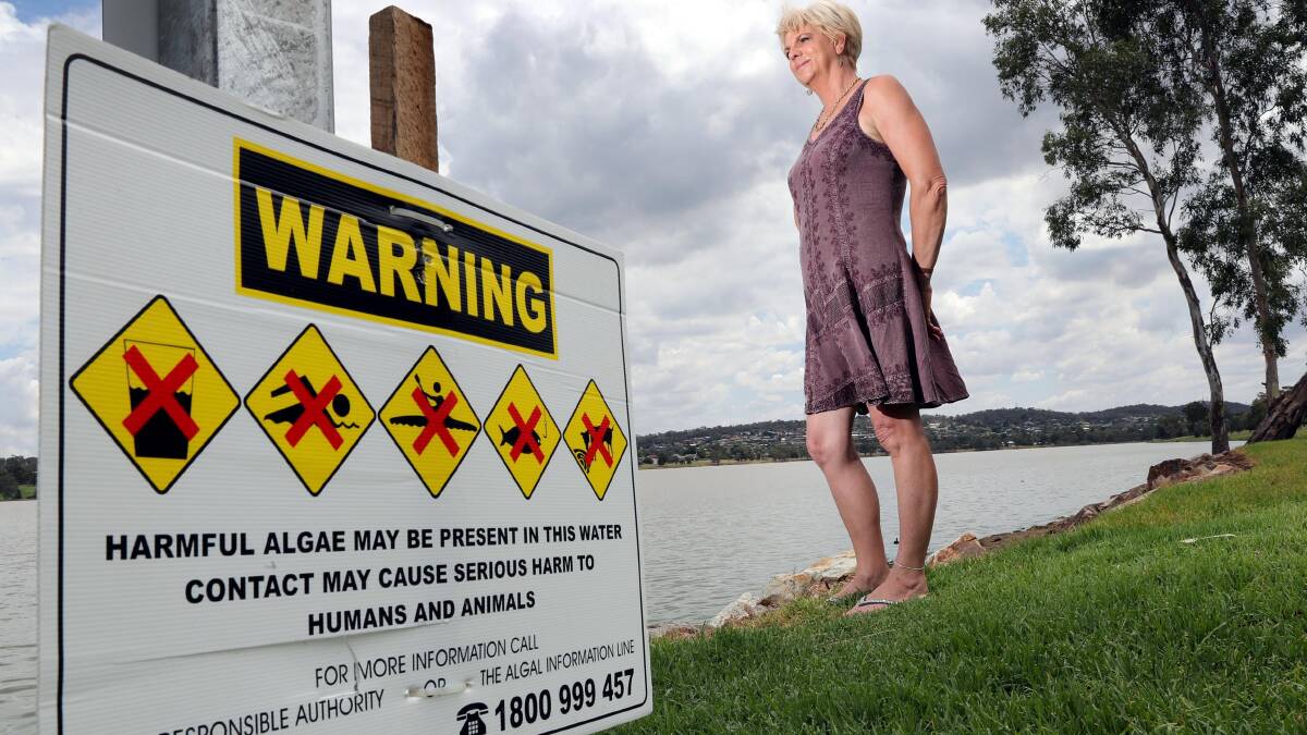 NEW WAVE: Lake Albert resident Lyn Taylor has sparked a community rally following her social media commentary on the blue-green algae outbreak. Picture: Les Smith