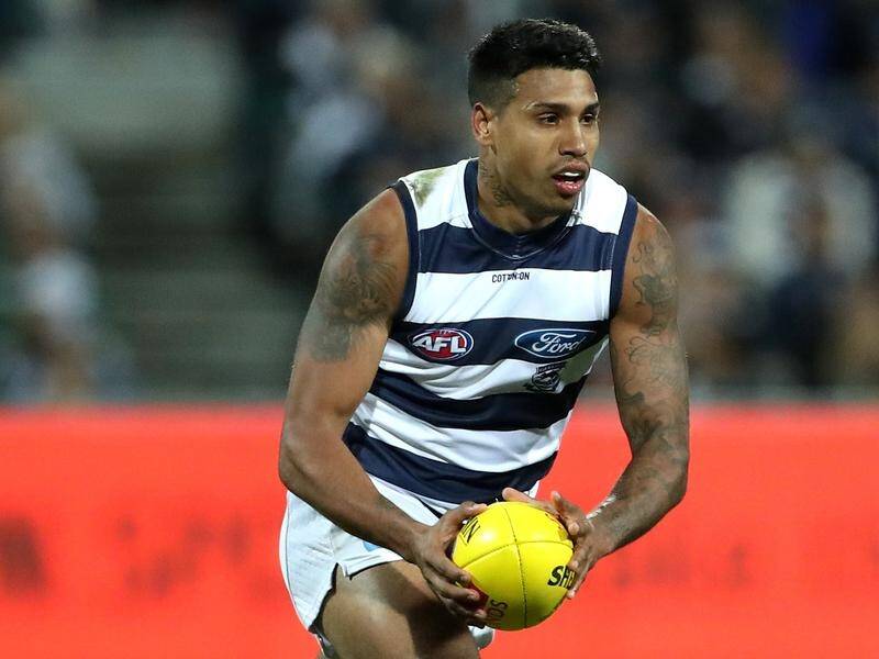 Tim Kelly's family will eventually settle in at Geelong, his AFL coach Chris Scott believes.