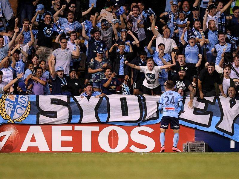 File picture of Sydney FC's fans from 'The Cove' who were unhappy with security in Geelong.