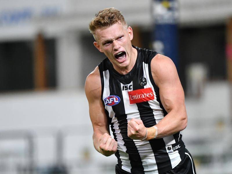 Former Collingwood player Adam Treloar has left an instant impression at the Western Bulldogs.
