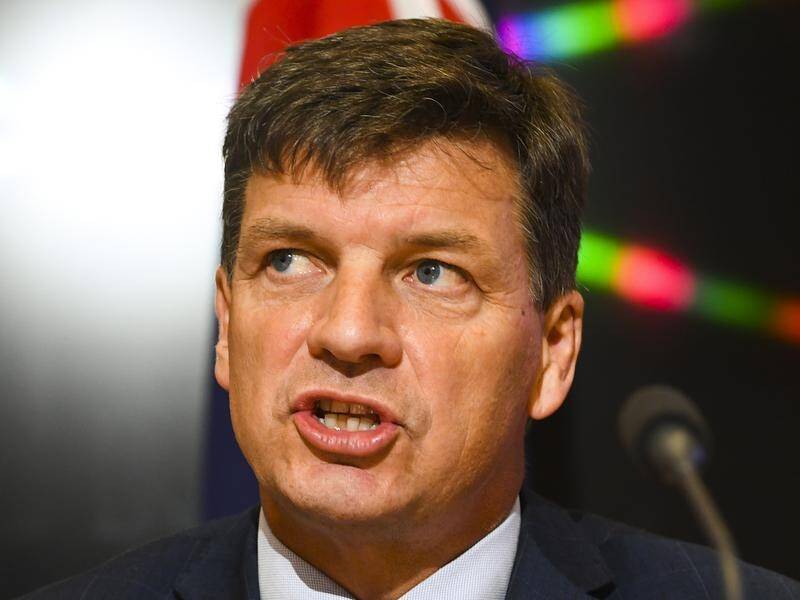 Angus Taylor used a ministerial statement to attack Labor over its climate and energy policies.