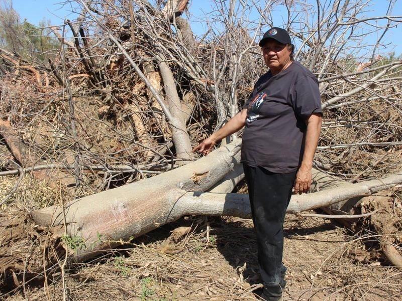 The Chinese company was ordered to stop clearing vegetation after traditional owners complained.