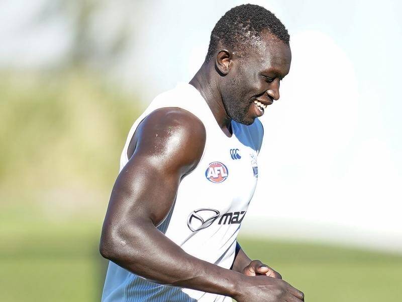 North Melbourne's Majak Daw will not require surgery to repair a pectoral muscle tear.