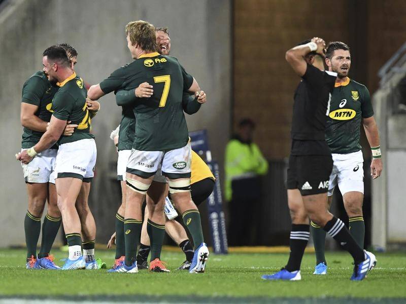 South Africa are unbeaten in 2019 after securing a draw with the All Blacks in Wellington.