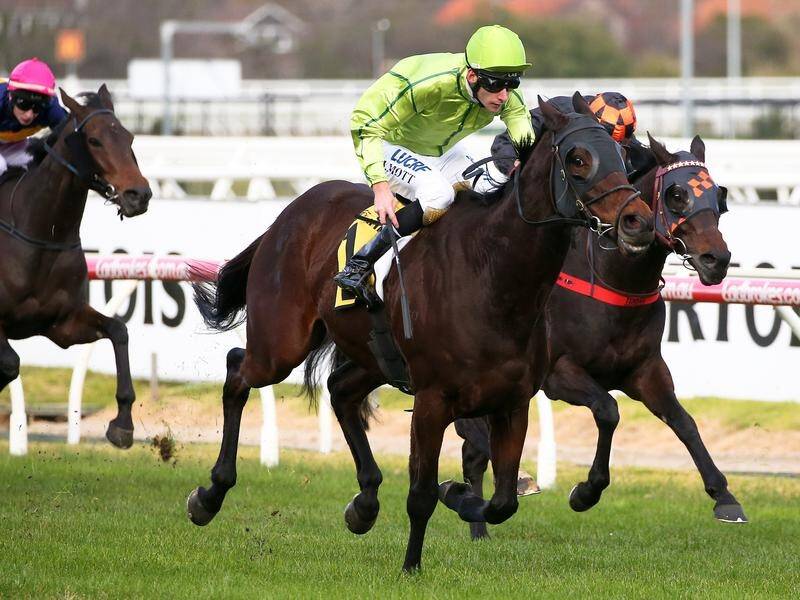 Self Sense has been ruled out of Caulfield but trainer David Brideoaks says it is a minor setback.