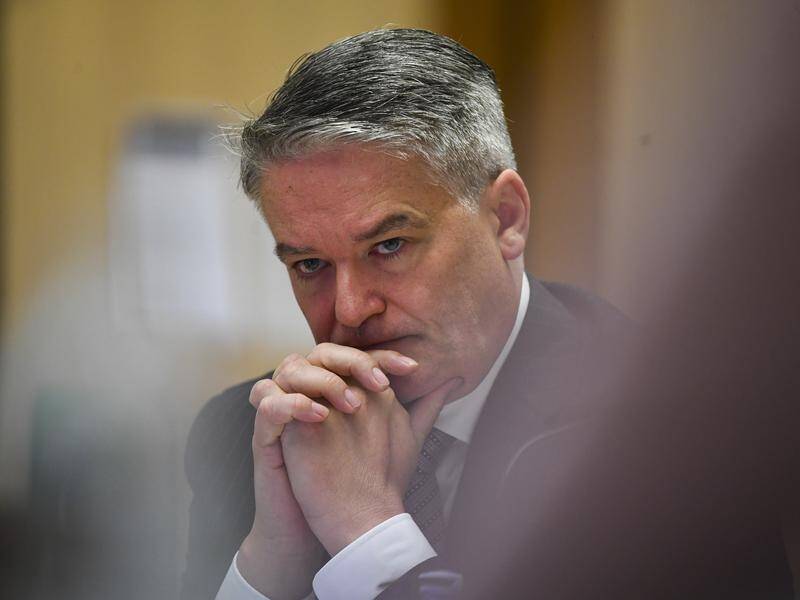 Taxpayers are funding a RAAF jet for Mathias Cormann to travel the world lobbying for his OECD bid.