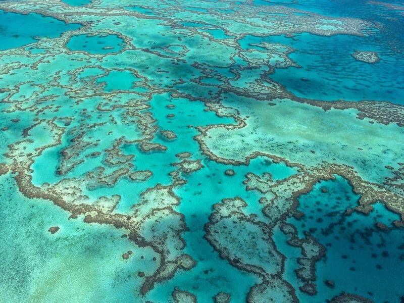 A UNESCO committee has put off a decision on whether the Great Barrier Reef is "in danger".