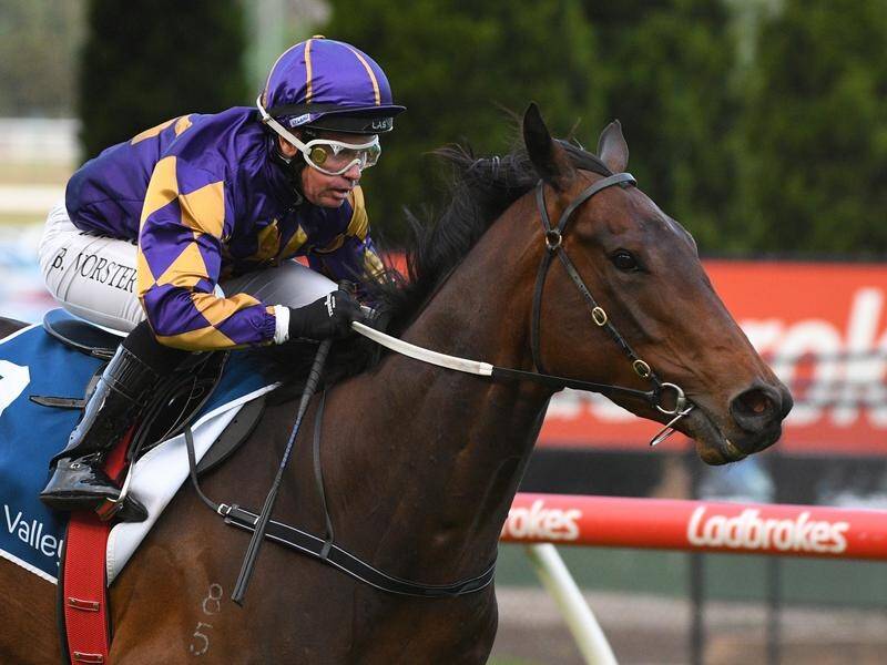 Talenti will be aiming for a winning hat-trick before he is transferred to Hong Kong.