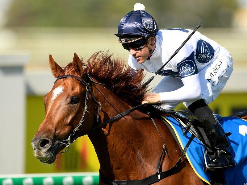 Constant Flight rises in class in the Lough Neagh at Eagle Farm but his trainer thinks he can cope.