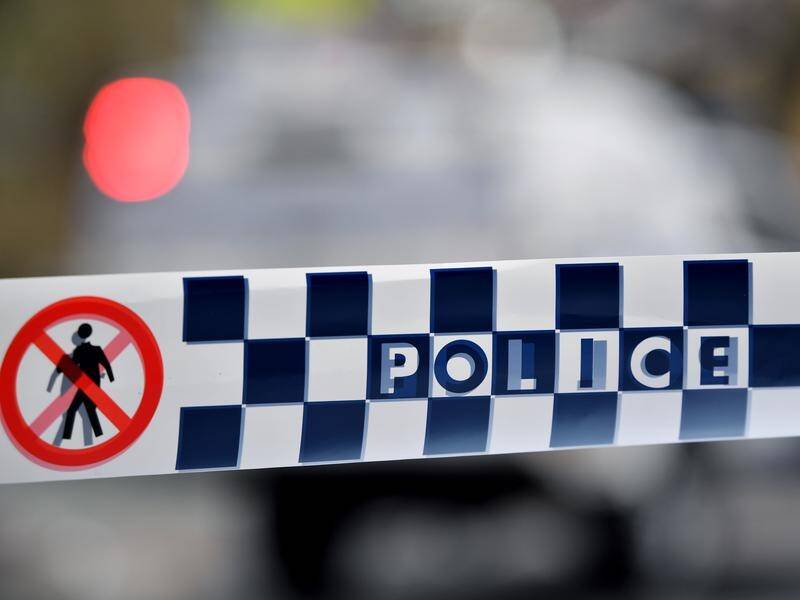 A pipe bomb found in a northern NSW town laneway has been declared safe.