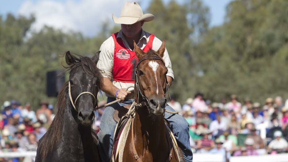 Scott Bandy wins the brumby catch and claims his fifth Man From Snowy River Challenge title riding the stallion Knight's Top That owned by Terry Hillier. Pictures: Mark Whitehead