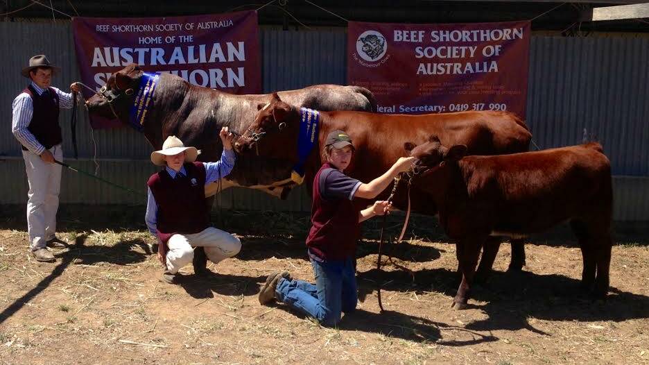 Scott Bruton, Darcy Swan and Scott Pugh with some of the Roly Park Cattle.