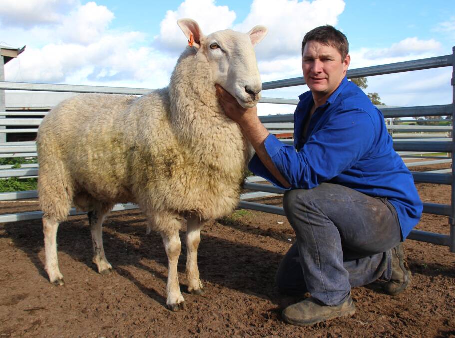  Rod Frohling, of Southern Riverina Sheep Breeders group, will host a RamSelect workshop on his Hovell stud, Burrumbuttock.