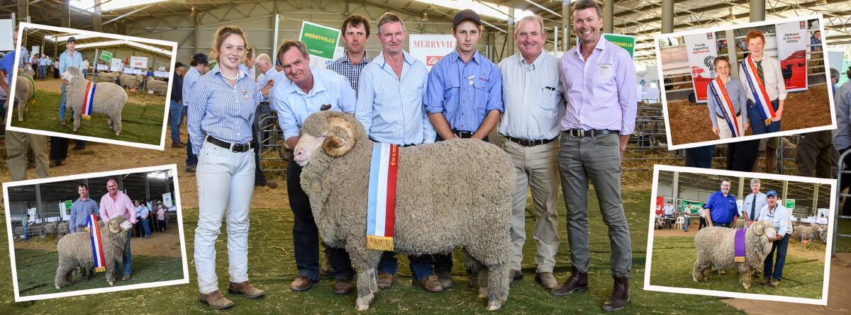Main image: Supreme exhibit was awarded to the Demondrille ram from the Davis family, Harden, and is pictured with judges and event organisers. (Top left) Champion Poll Merino ram was awarded to Arakoon stud, (top right) overall champion junior judges Kareena Dawson and Josh Stackman, (bottom right) the reserve grand champion ram from Airlie stud and (bottom left) champion ultra superfine ram was awarded to the Grathlyn ram.