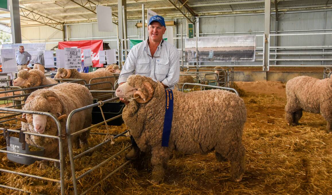 The Airlie ram that was named winner of the production class. 