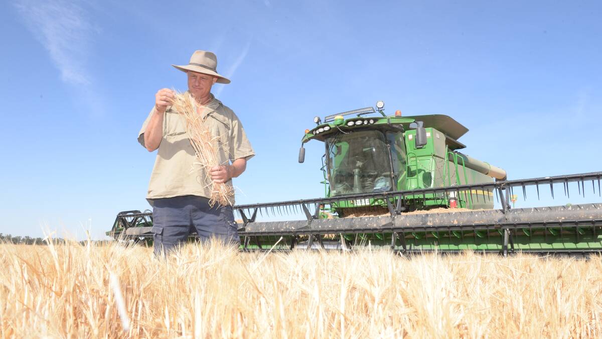 Nathan Heckendorf, Top Reeds, Narrandera, harvesting WaterSafe-treated Spartacus barley, sown May 12. Photos: Rachael Webb