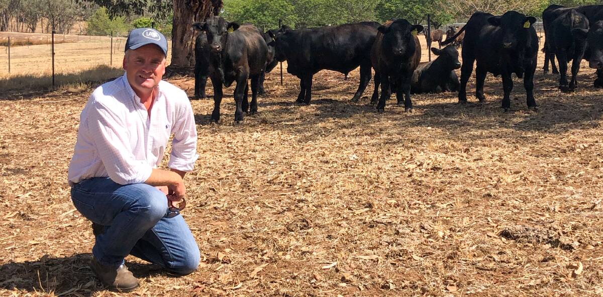 CASE ADJOURNED: Corey Dean Ireland is accused of a $2.5 million cattle fraud.