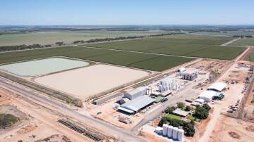 The Commins Portfolio is an institutional grade irrigated cropping operation underpinned by 14,112ML of combined surface water and groundwater entitlements. Picture supplied
