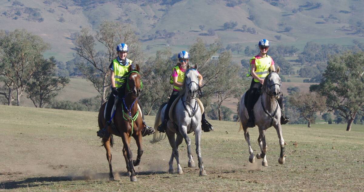 ENJOYABLE EXPERIENCE: Warm conditions greet riders at Table Top, but the checkpoints and regular vet checks ensure horses and competitors remain safe and well hydrated throughout the holiday carnival. Picture: ANIMAL FOCUS