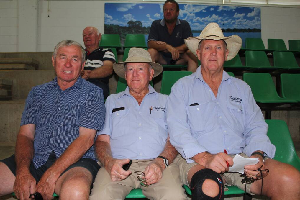 Greg Lashbrook of Leeton, Neville Allen of Leeton and Graeme Coutton of Rodwells Wagga talking prices at the Wagga Cattle sale. Photo: Holly Martin 