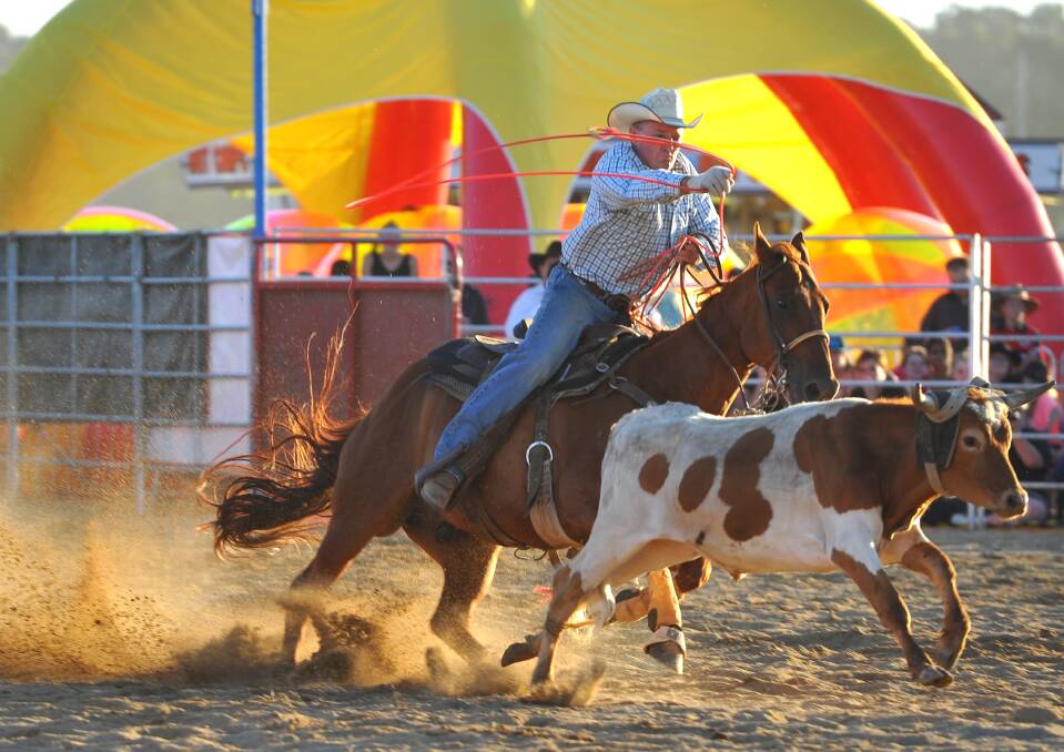 Scott Foster in the team roping at the 2013 Wagga Rodeo. Pictures: Addison Hamilton