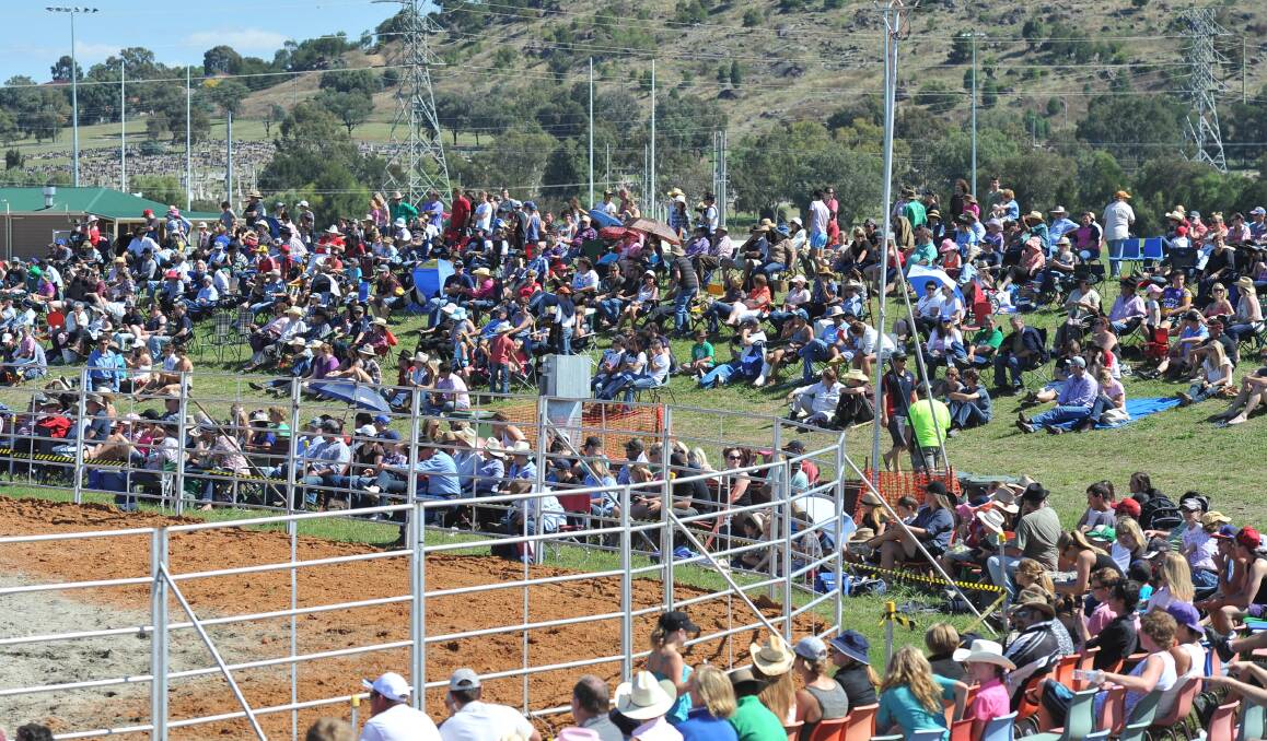 Crowds gather at the 2012 Wagga Rodeo.